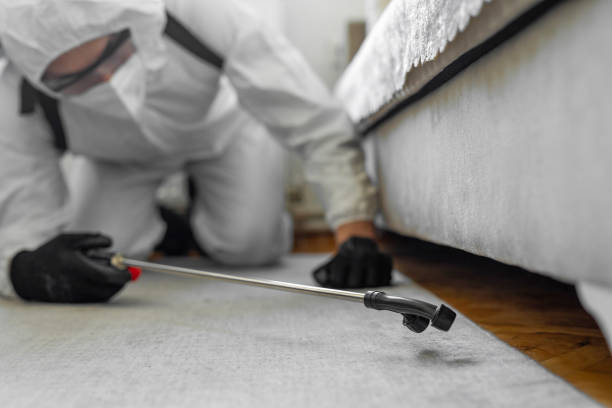 Professional Termite Control technician working in Sprague, WV