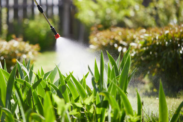 24/7 Emergency Termite Control experts in Sprague, WV