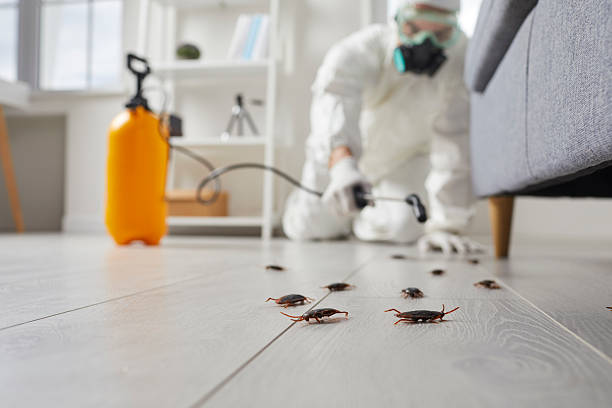 Affordable Termite Control solutions in Sprague, WV